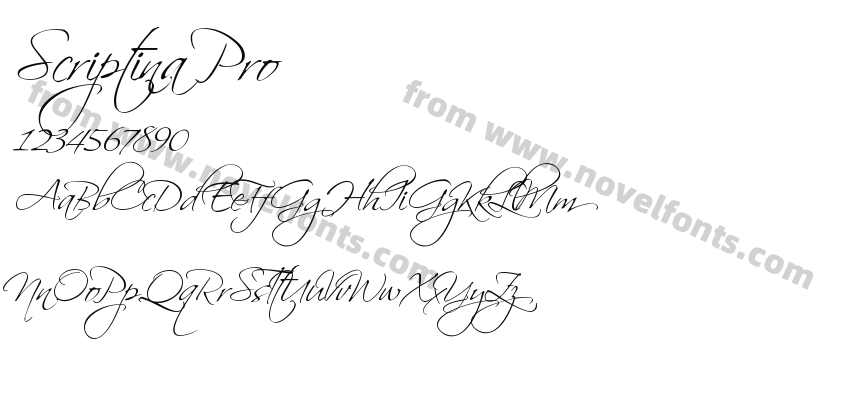 Scriptina ProPreview