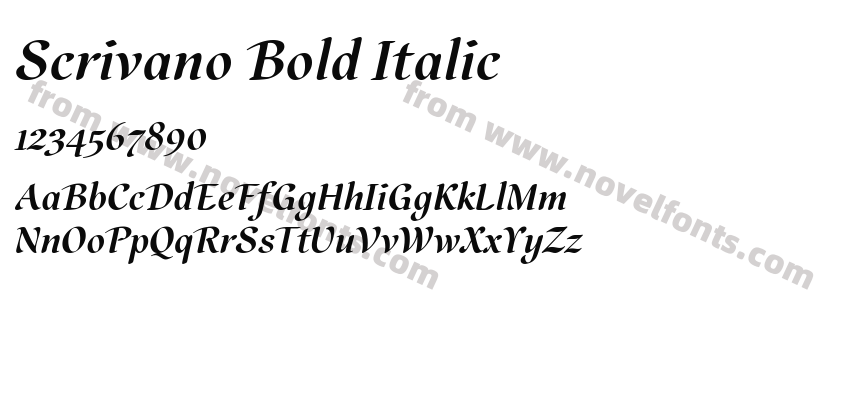 Scrivano Bold ItalicPreview