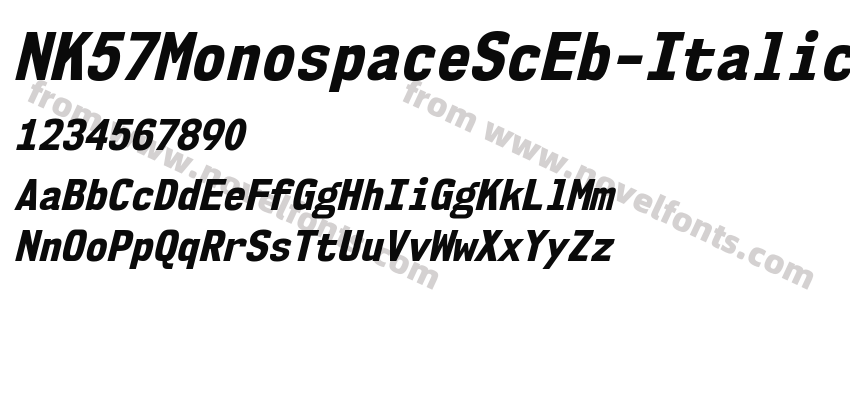 NK57 Monospace Sc Eb ItalicPreview