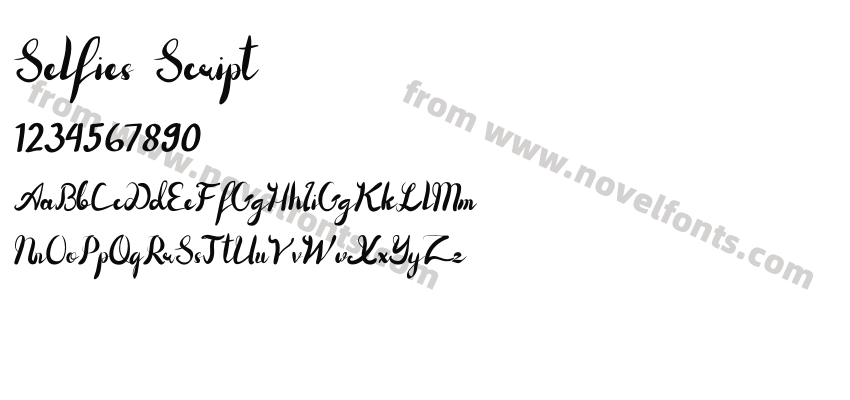 Selfies ScriptPreview