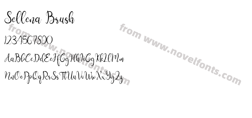 Sellena BrushPreview