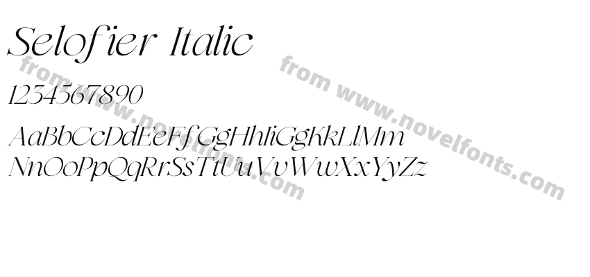 Selofier ItalicPreview