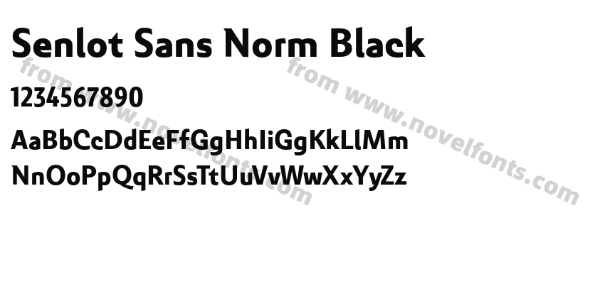 Senlot Sans Norm BlackPreview