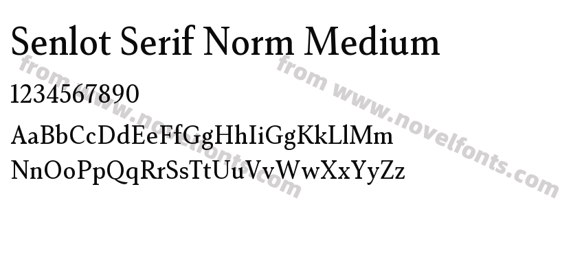 Senlot Serif Norm MediumPreview