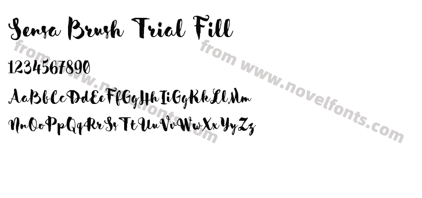 Sensa Brush Trial FillPreview