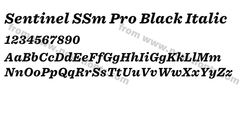 Sentinel SSm Pro Black ItalicPreview