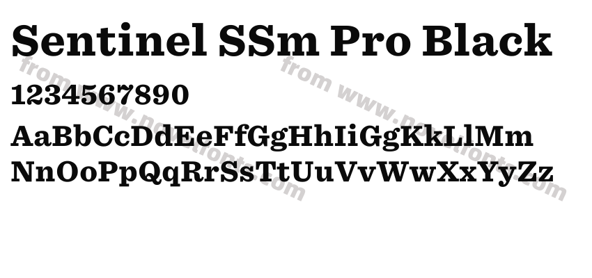 Sentinel SSm Pro BlackPreview