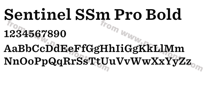 Sentinel SSm Pro BoldPreview
