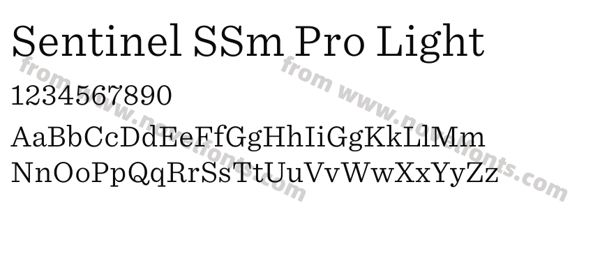 Sentinel SSm Pro LightPreview