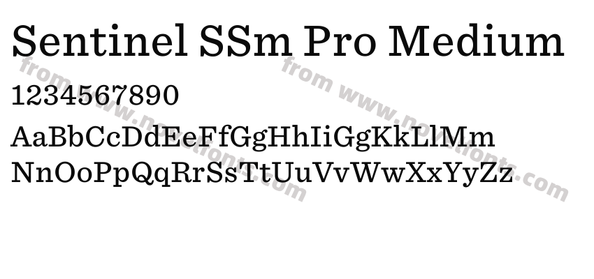 Sentinel SSm Pro MediumPreview
