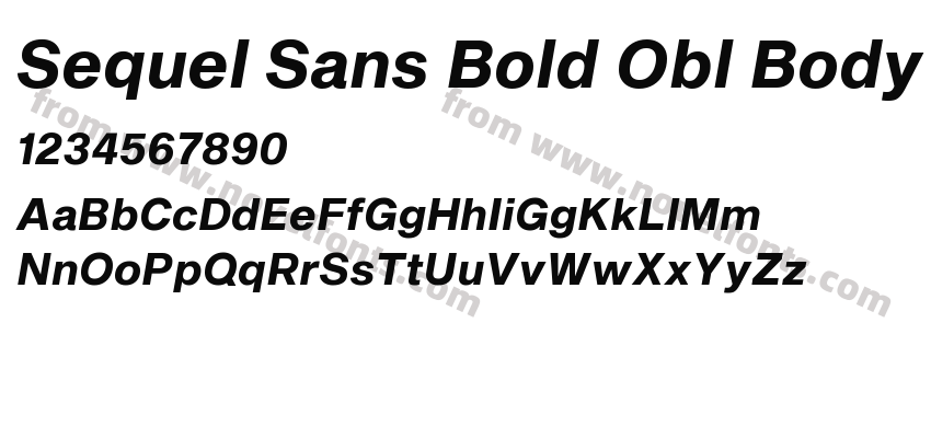 Sequel Sans Bold Obl BodyPreview