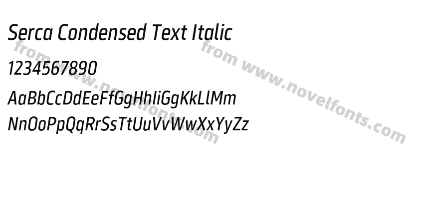 Serca Condensed Text ItalicPreview