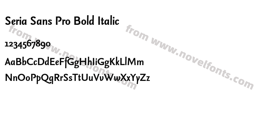 Seria Sans Pro Bold ItalicPreview