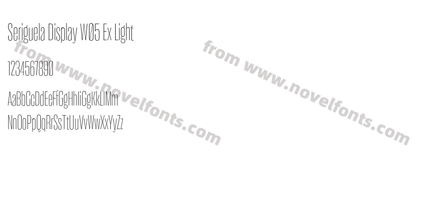 Seriguela Display W05 Ex LightPreview