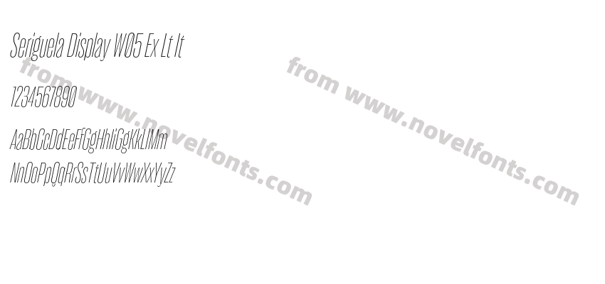 Seriguela Display W05 Ex Lt ItPreview