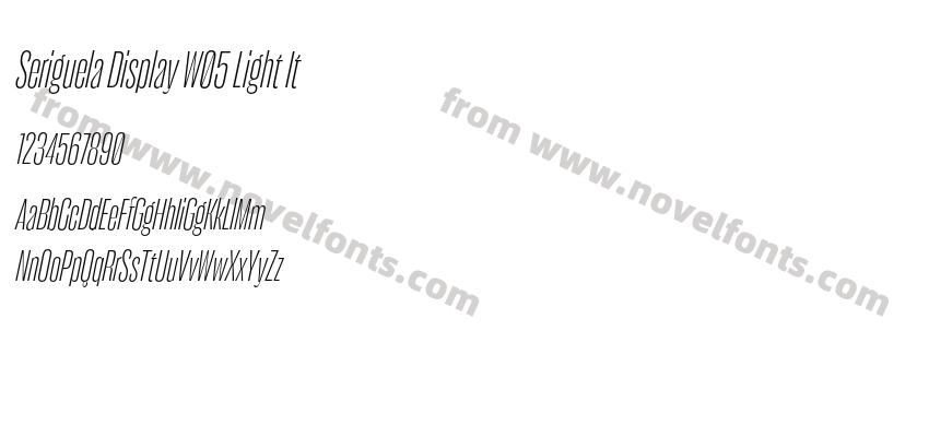 Seriguela Display W05 Light ItPreview