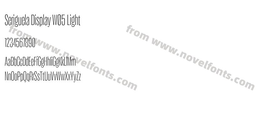 Seriguela Display W05 LightPreview
