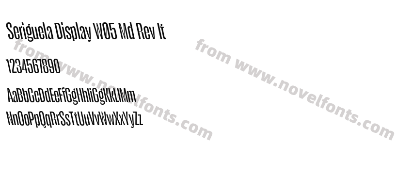Seriguela Display W05 Md Rev ItPreview