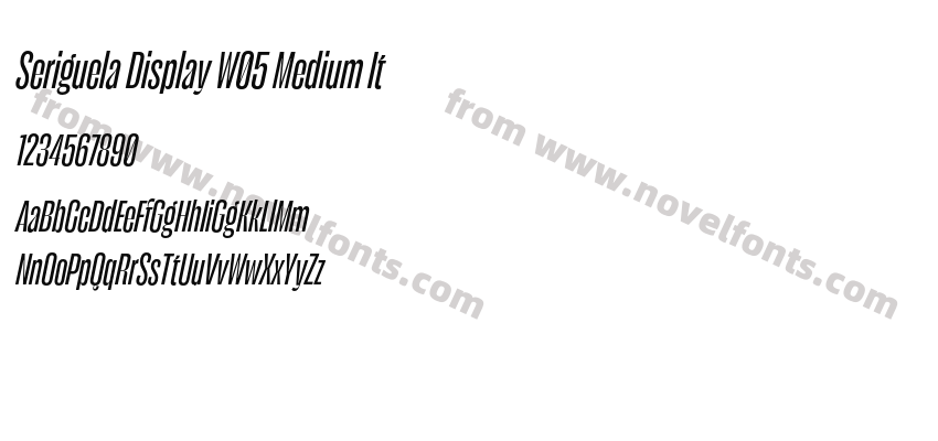 Seriguela Display W05 Medium ItPreview