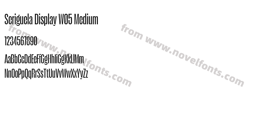 Seriguela Display W05 MediumPreview