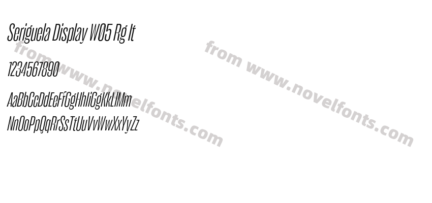 Seriguela Display W05 Rg ItPreview