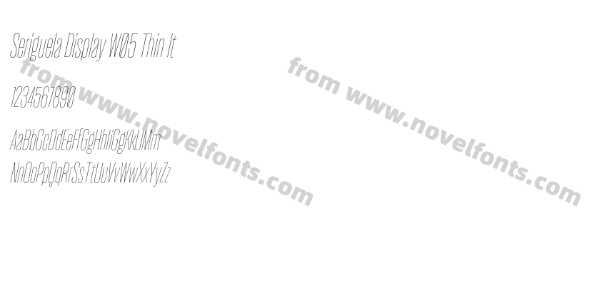 Seriguela Display W05 Thin ItPreview