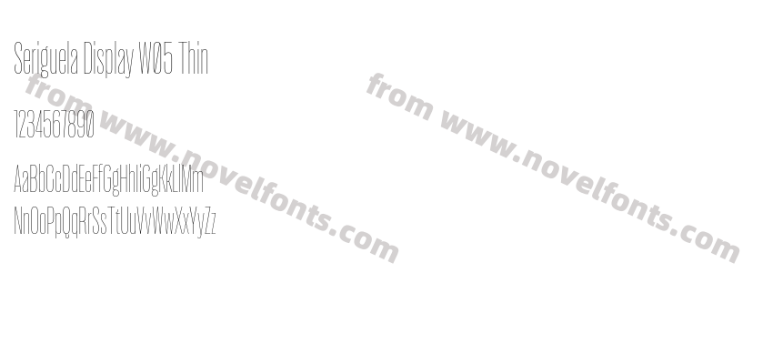 Seriguela Display W05 ThinPreview