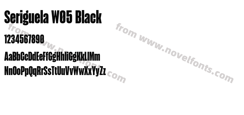 Seriguela W05 BlackPreview