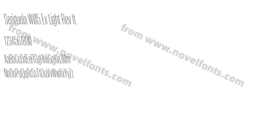 Seriguela W05 Ex Light Rev ItPreview