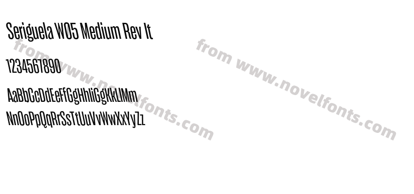 Seriguela W05 Medium Rev ItPreview
