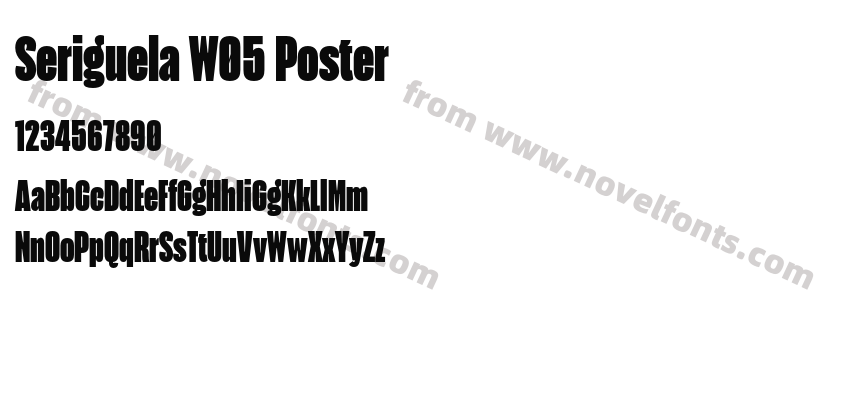 Seriguela W05 PosterPreview