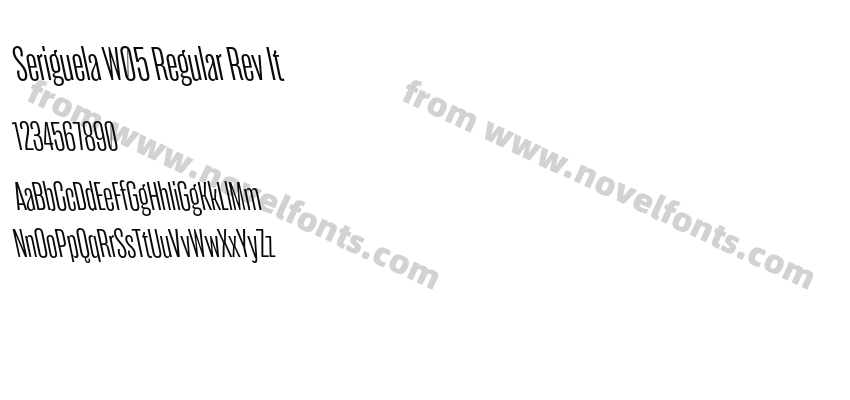 Seriguela W05 Regular Rev ItPreview