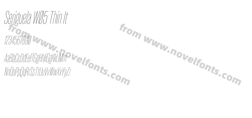 Seriguela W05 Thin ItPreview