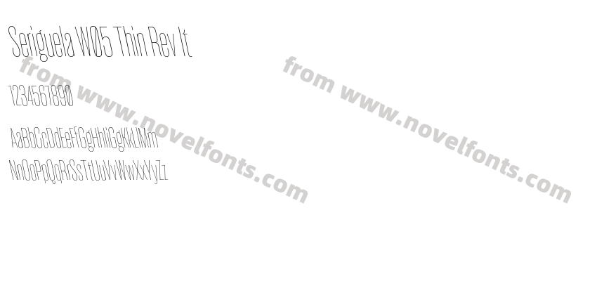 Seriguela W05 Thin Rev ItPreview