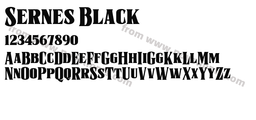 Sernes BlackPreview