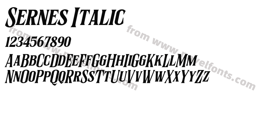 Sernes ItalicPreview