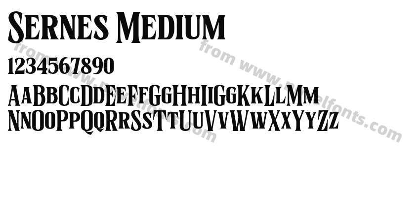 Sernes MediumPreview