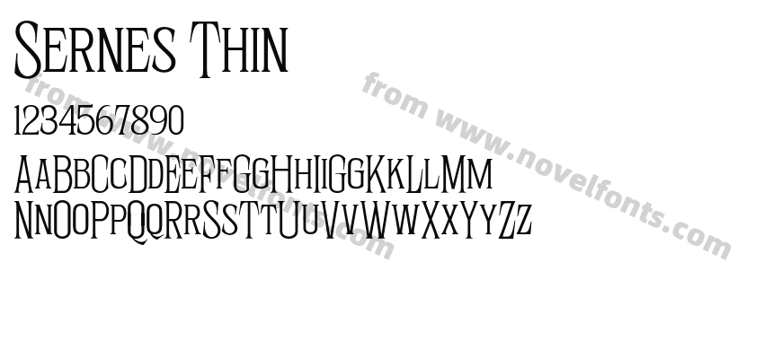 Sernes ThinPreview