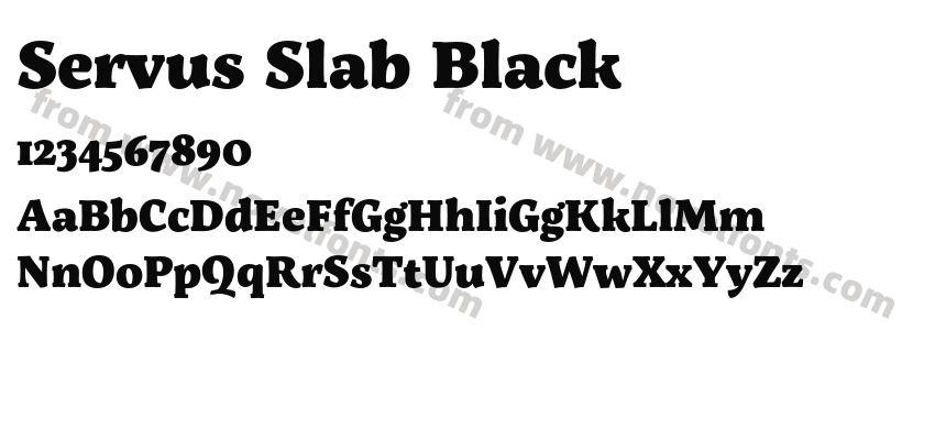 Servus Slab BlackPreview