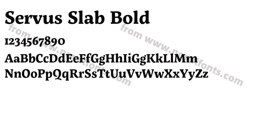 Servus Slab BoldPreview
