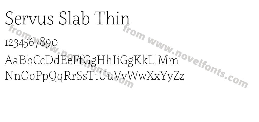 Servus Slab ThinPreview