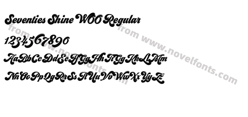 Seventies Shine W00 RegularPreview