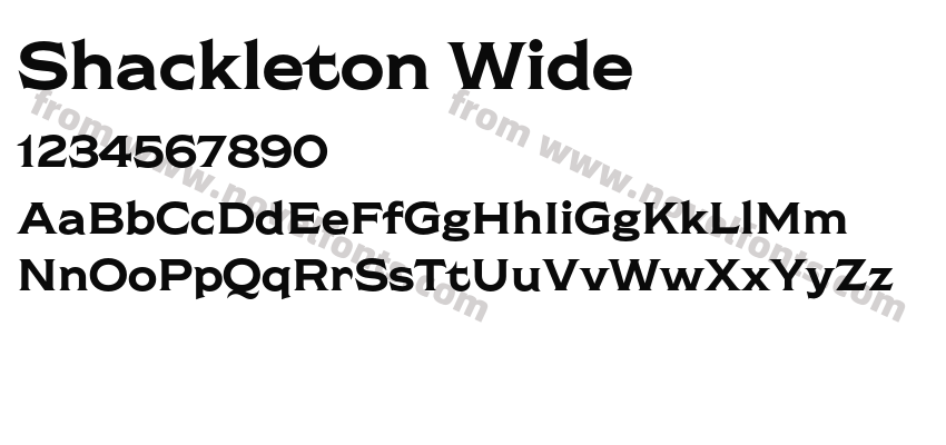 Shackleton WidePreview
