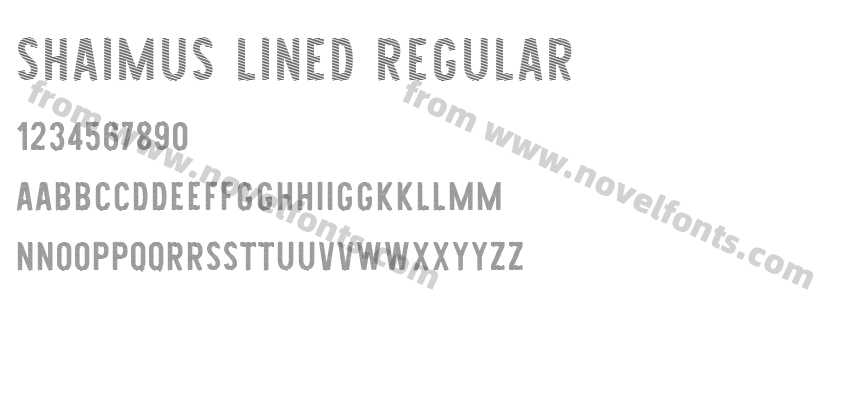 Shaimus Lined RegularPreview