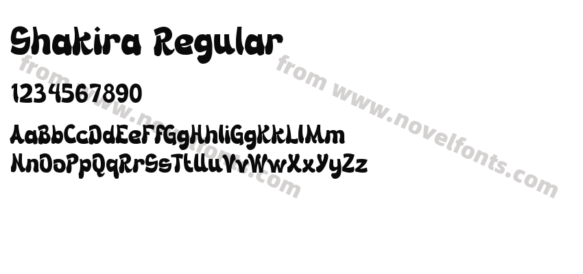 Shakira RegularPreview