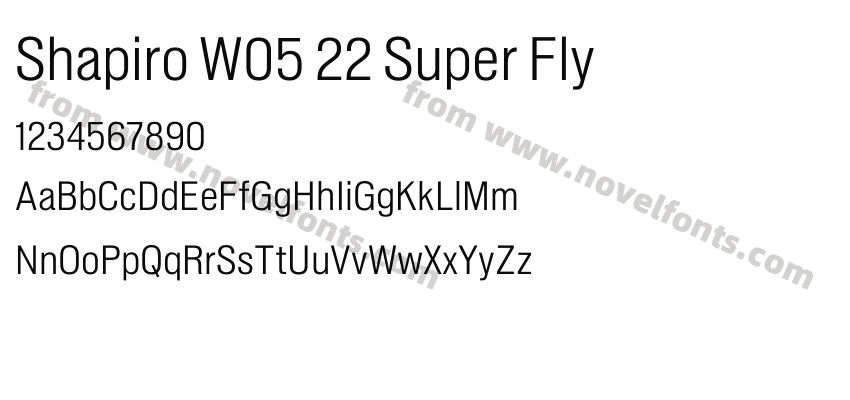 Shapiro W05 22 Super FlyPreview