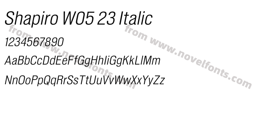 Shapiro W05 23 ItalicPreview