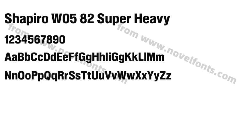 Shapiro W05 82 Super HeavyPreview