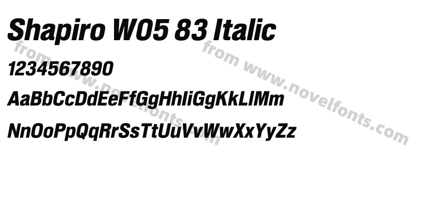 Shapiro W05 83 ItalicPreview