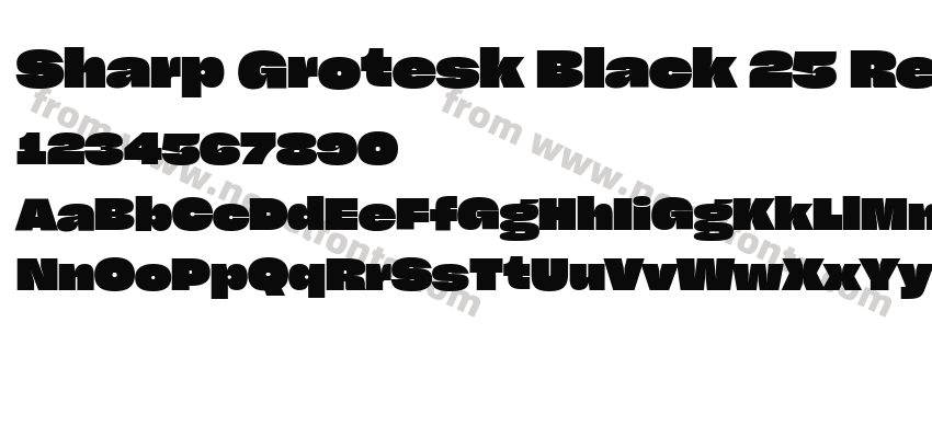 Sharp Grotesk Black 25 RegularPreview